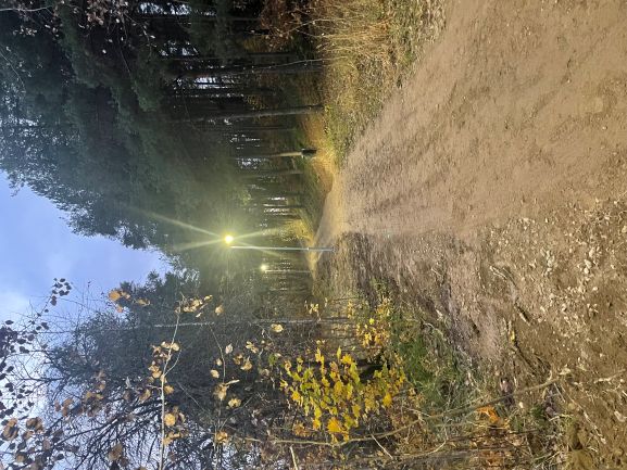 Nyhkälänharjun uusi valaistus